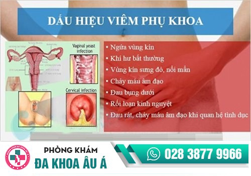 VÌ SAO PHỤ NỮ DỄ BỊ VIÊM NHIỄM PHỤ KHOA?